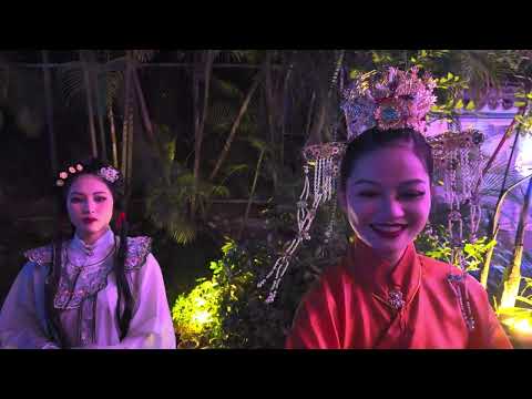 Real Paradise in Shenzhen The hottest events are all here
