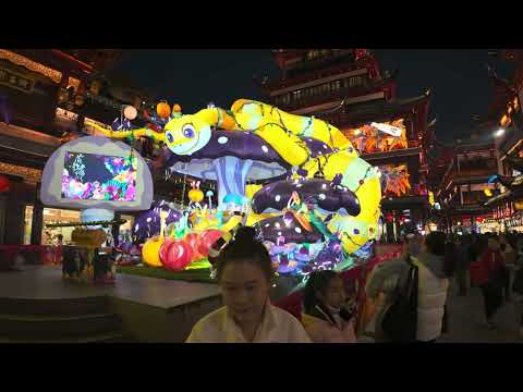 2025 Fantastic Chinese New Year Celebrations Shanghai Light