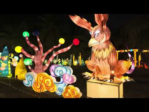 Chinese Mythical Monsters Fill Shenzhen Lantern Show 4K HDR