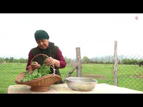 Harvesting Stinging Nettle Special Nettle Recipe from Sweet