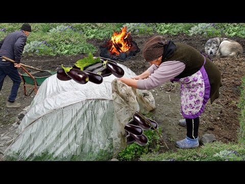 Delicious Eggplant Dishes in Cold Days Grandma s Best