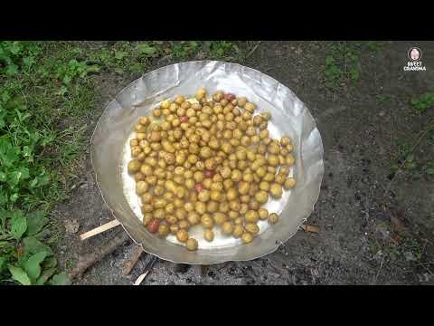 Potato Harvest Grandma s Secret Crispy Fries Kumpir Recipe