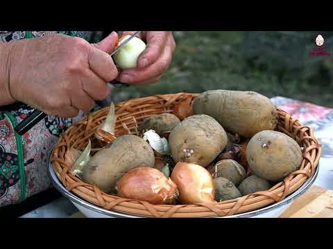 Forest tour How to Collect Firewood Grandma s Beef Stew