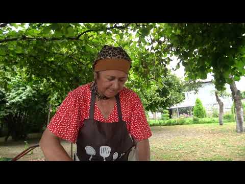 AZERBAIJAN Grandparents Harvest Watermelons in the Caucasus