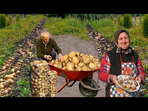 Crispy Potato Fry and Cake with Cookies Recipe in my