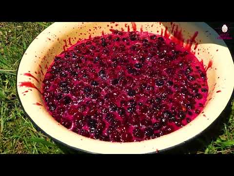 Cherry Harvesting and Preserve for Winter in the Azerbaijan