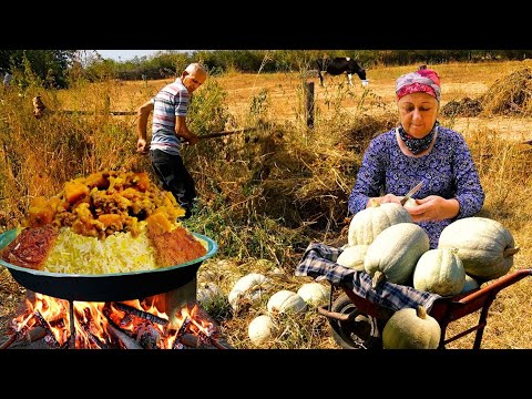 How to Grow Pumpkin from Seed Pumpkin Harvest 1 Hour of the
