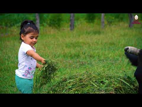 Potato Harvest Grandma s Special Vegetable Potato Recipe