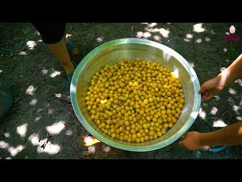 Grandma s Special Plum Juice Recipe for Winter Fruit