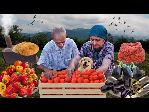 Harvesting Fruits and Vegetables in Sweet Grandma s village