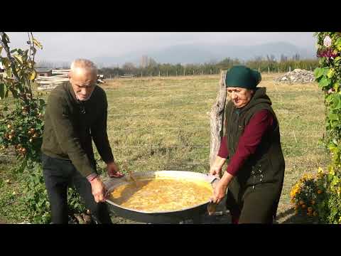 Harvesting Red Persimmons How to Make Dried Persimmons