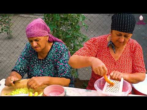 Harvesting Fresh Tomato and Preparation of canned tomatoes