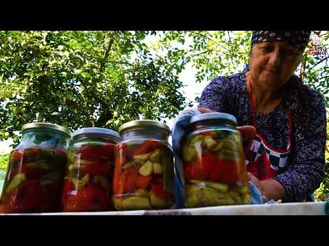 HARVESTING Fresh Eggplants Keeping Vegetables for Winter