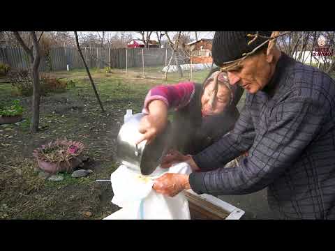 Grandma s Unusual Red Persimmons Dessert Recipe in the