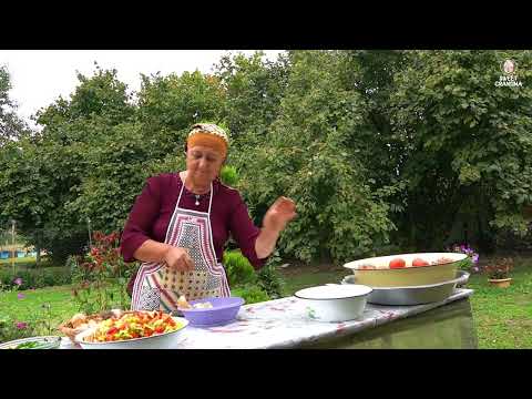 Harvesting Organic Eggplants Peppers Tomatoes Grandma and