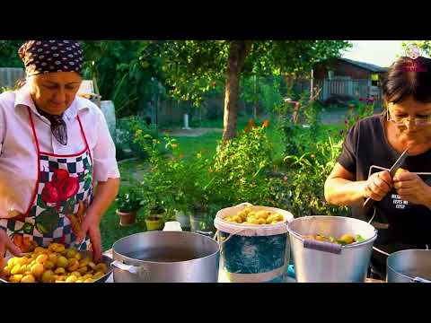 FRUIT HARVESTING in the Forest Plum Cake and Juice Recipe