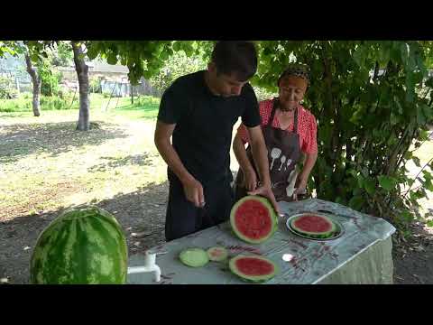 AZERBAIJAN Grandparents Harvest Watermelon in the Caucasus