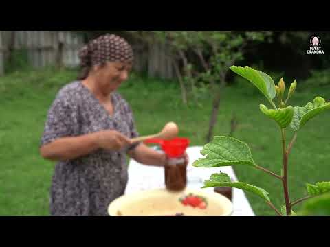 Grape Harvesting and Prepare OLD FASHIONED GRAPE Dessert