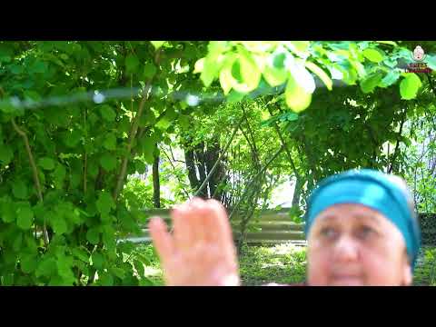 GRANDMOTHER MAKES SPECİAL RECİPES FROM BEEF İNTESTİNES AND