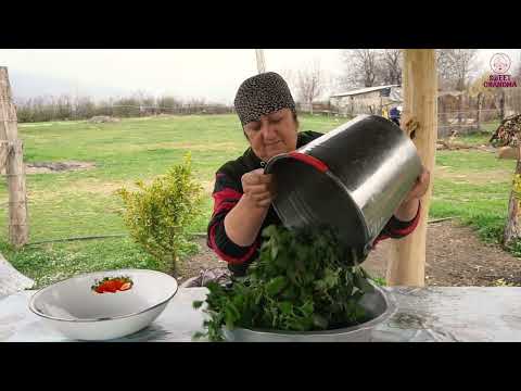 How to Grow Pumpkin from Seed Baked Real Tandoor Bread in