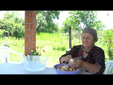 Harvesting Potatoes and Beans in Azerbaijan Village