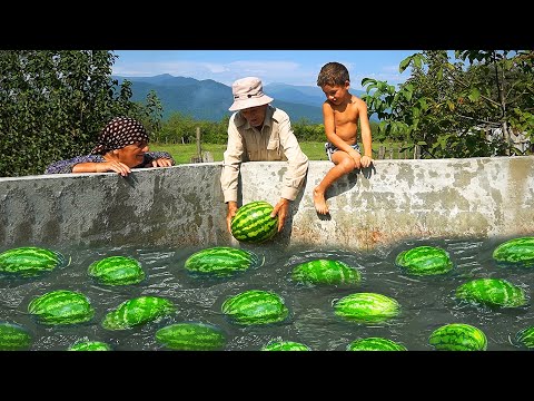 AZERBAIJAN Watermelon Farm World s Most Tasty Watermelon