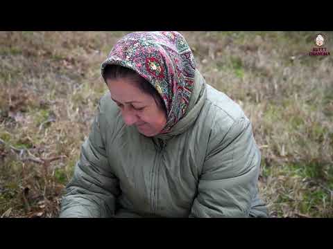 Grandmother is Cooking Traditional Azerbaijani Cuisine