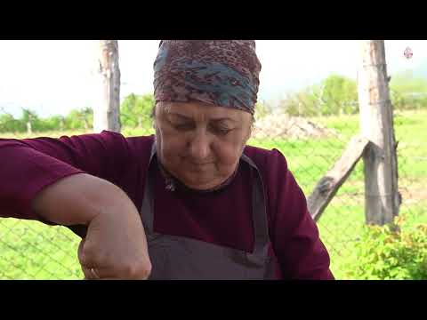 AZERBAIJAN Rural Life How to Grow Peanuts in the Mountain