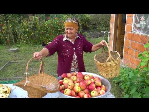 AZERBAIJAN Grandparents Harvest Apple in the Caucasus