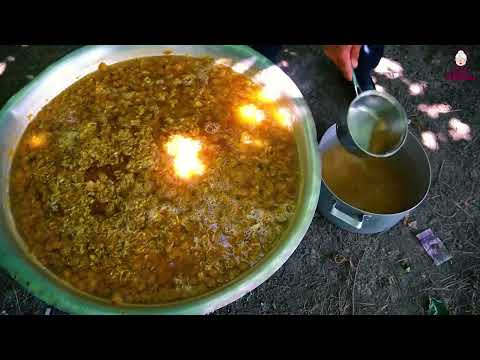 Harvesting Fresh Fruits in the Village 4 1 Hour Of The Best
