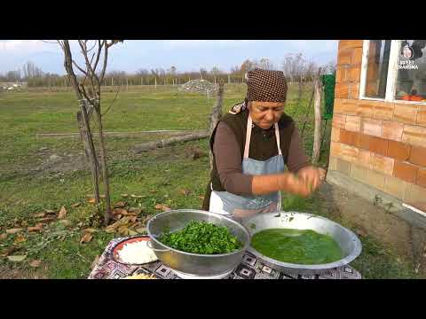Grandma Harvests Fresh Spinach in an Azerbaijani Mountain