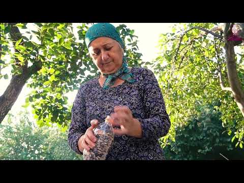 Beans Harvesting Grandma s Special Healthy Protein Salad