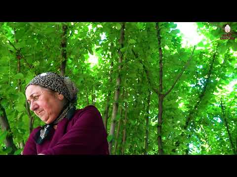 Sweet Grandma Make Chicken Empanadas in the Village