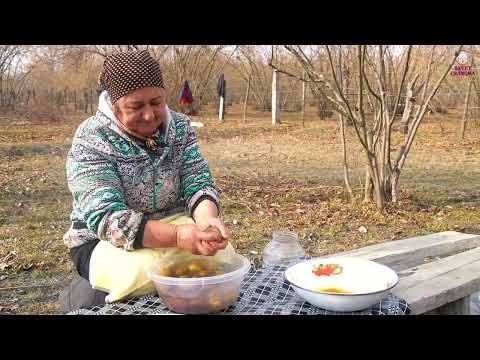 Grandpa and Grandma s Fascinating Journey Outdoor Bread