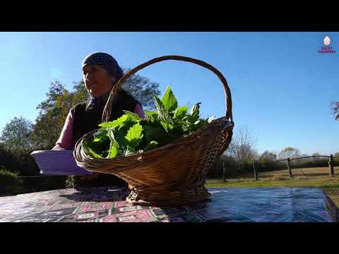 Grandma s Nettle Gutab Unique Recipe Picking Edible Wild