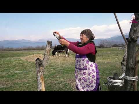 How to Grow Potatoes Potato Harvest in the Village 1 Hour