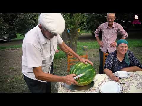 Watermelon Harvesting The Best Videos Of Life In The