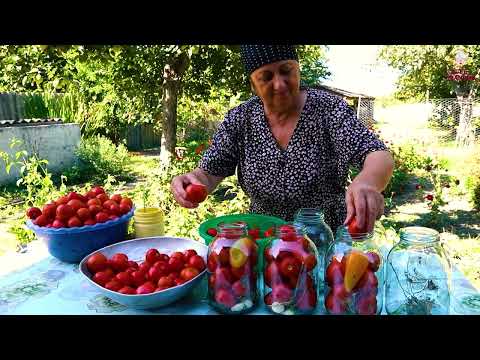 Keeping Tomatoes as Fresh for 2 Years Homemade Fried Best