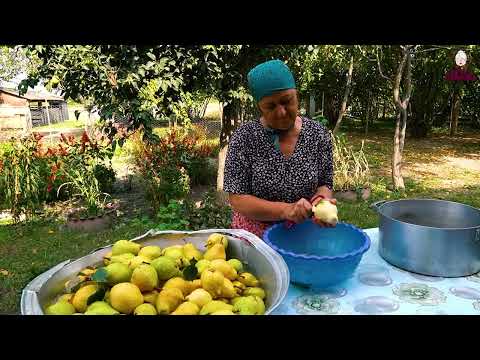Harvesting Giant Pears Grandma Make Pears Jam