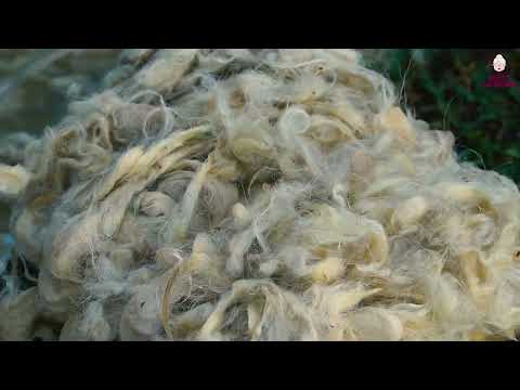 Grandma s Special Potato Donut Recipe Washing wool in the