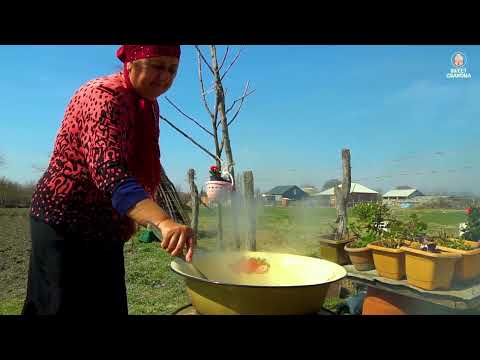 MOUNTAIN Harvest Collecting Violet and Medicinal Plants