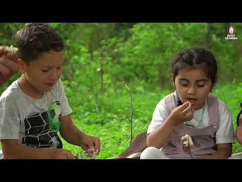 AZERBAIJANI FOREST PICNIC Grandma Grandpa Cook Flatbread