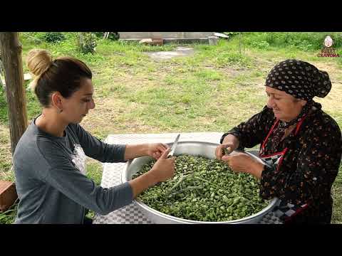 Harvesting Giant Pears in the Village Old Way to Store