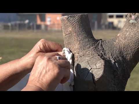 Making Organic Butter at Home 1 Hour Relaxing Village