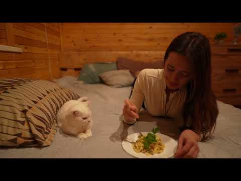 Cozy Weekend in the Countryside with My Cat Pasta Sauna