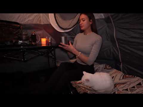 Solo Winter Camping with My Cat Met a Goose Hot Tent Cold