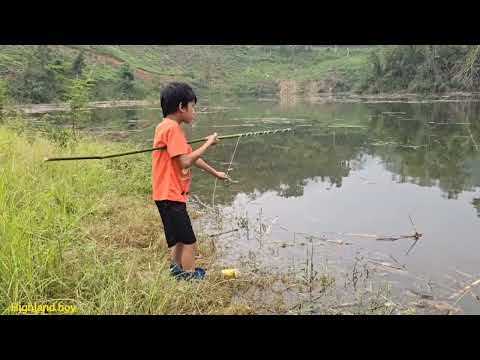 How to catch giant fishing arrange rocks to make traps and