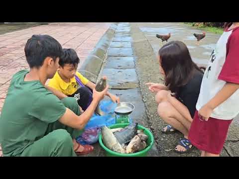 Damming the stream to catch fish for sale the daily life of