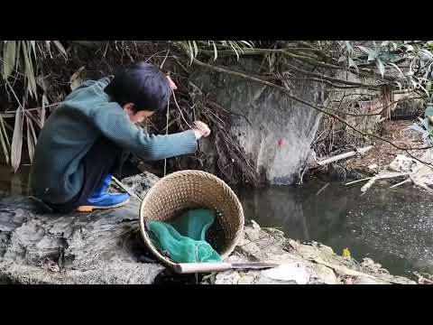 Life in the highlands setting traditional fish traps