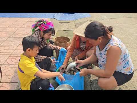 Highland fish trapping techniques Khai catches fish with